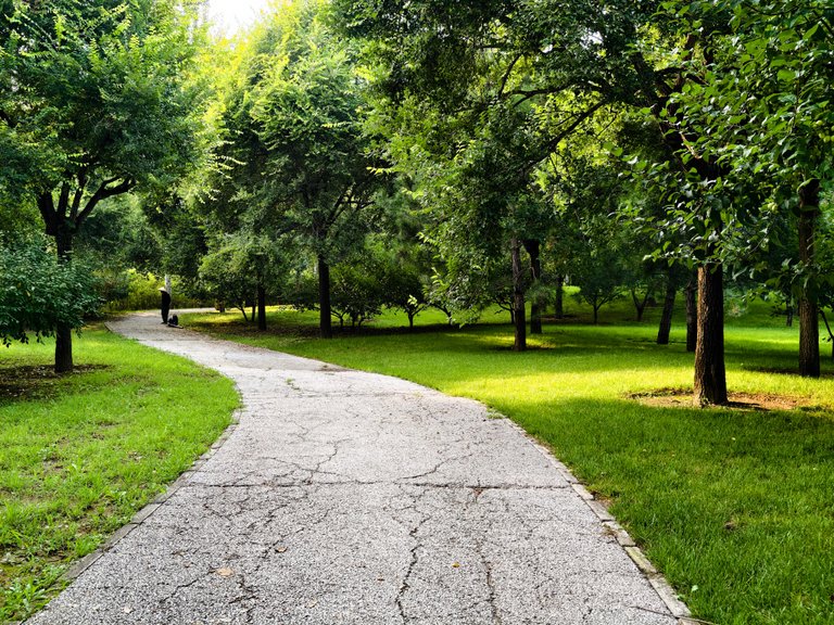 The Serenity Of The Guguan Resort Garden Area