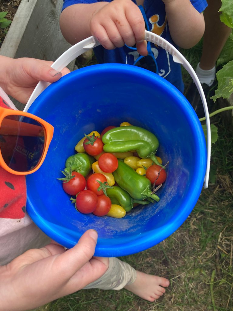 The Harvest