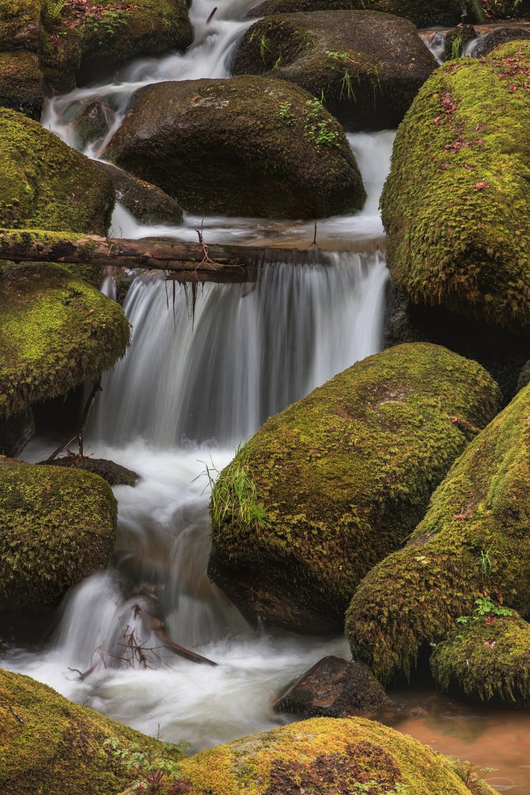 Wolfsschlucht - Wolfs Gorge - Bad Kreuzen - Upper Austria - Johann Piber