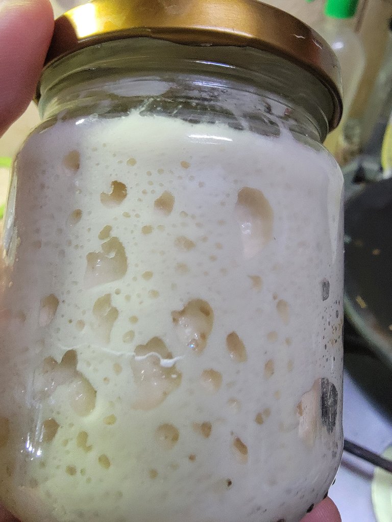 Masa madre