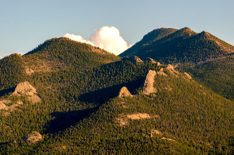 forest_mountain_c_copy.jpg