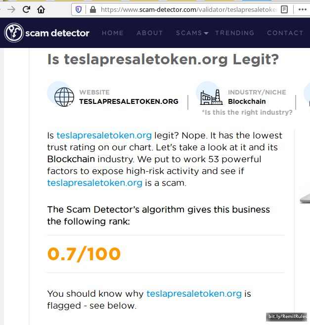 4_tesla_presale_token_is_a_scam_remil_gresenbach.png