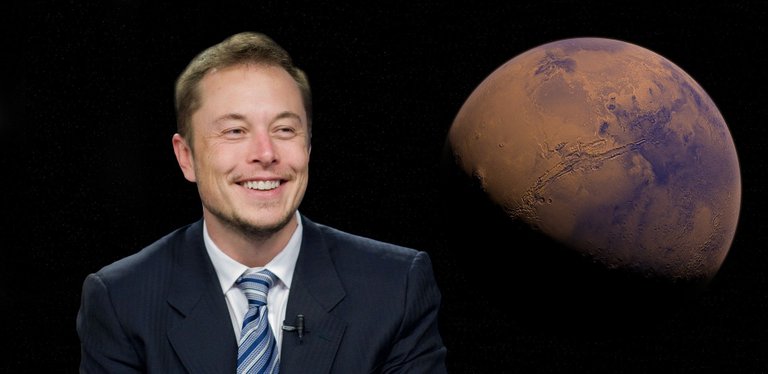 elon_ge4aa1e74d_1920.jpg