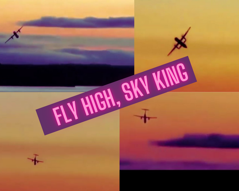 fly_high_sky_king_collage.png
