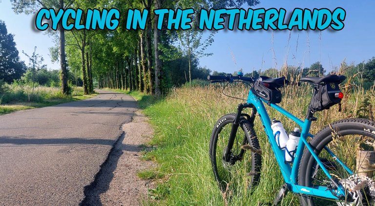 Cycling in The Netherlands