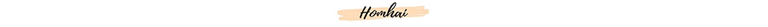 logo2.png