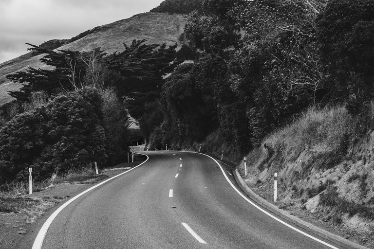 curvy_road_ahead_surrounded_by_vegetation.jpg