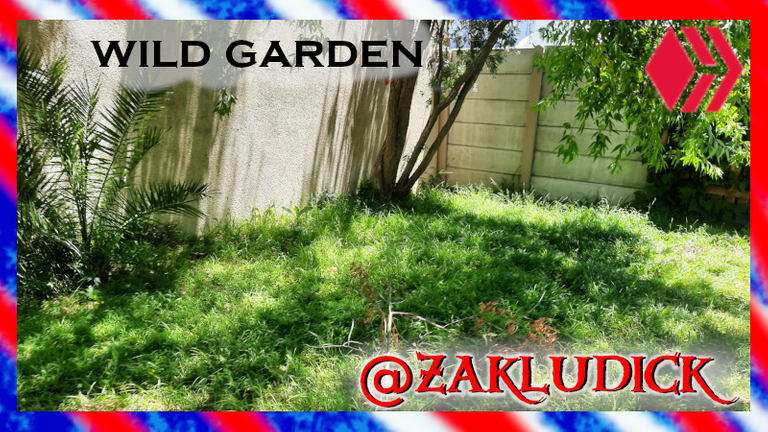 new_garden.png