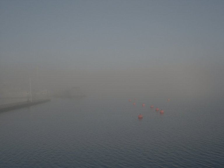 stavern_in_fog_039.jpg