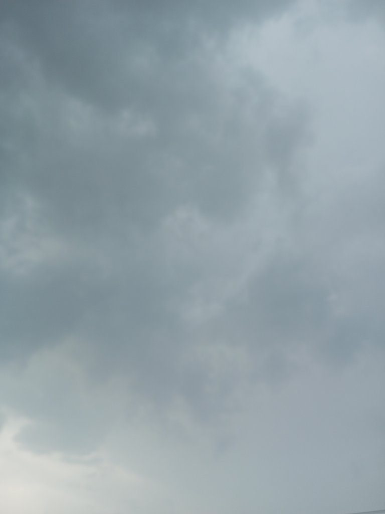 img_0.7730817145932586