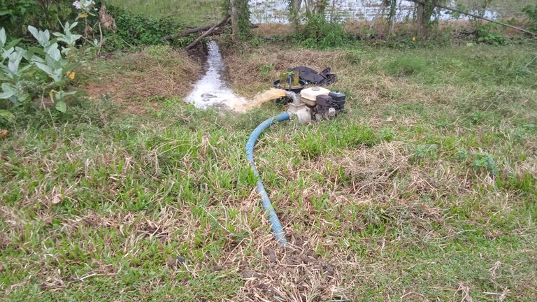 img_20220802_162818_1