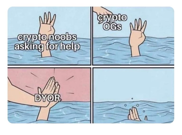 056_crypto_noobs_og_dyor.jpg