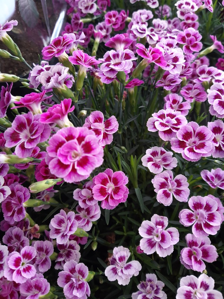 20220426_150935.jpg