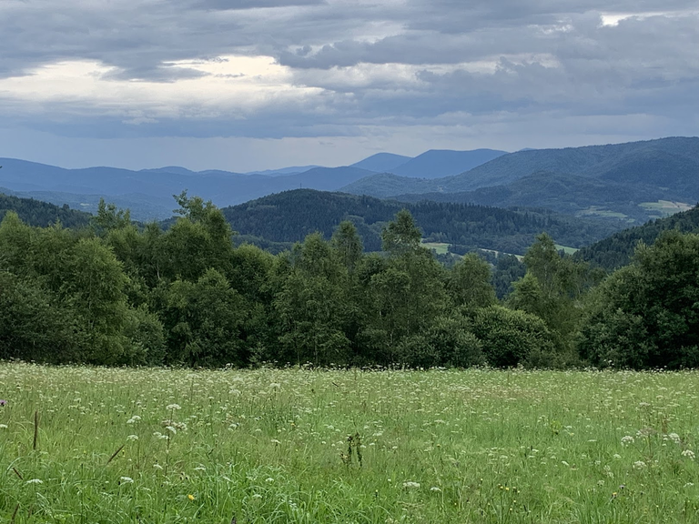 Widok na Beskid Wyspowy