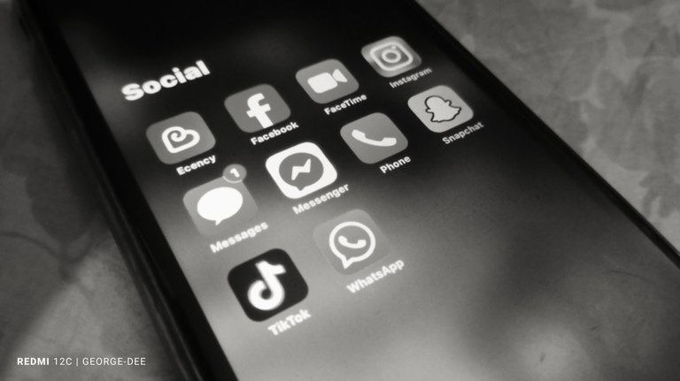 Social Media Shaping Young Minds.