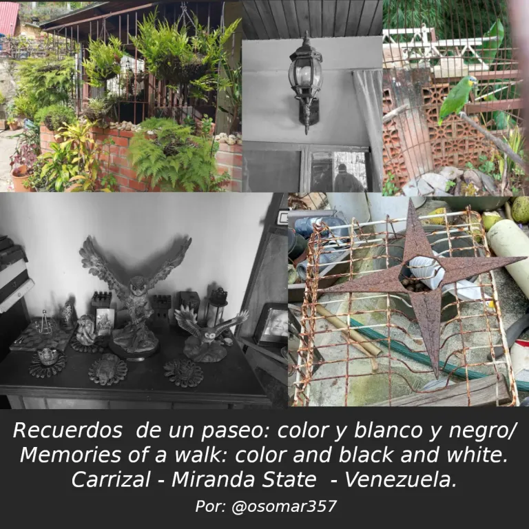 📸 Memories of a walk: color and black and white./ Recuerdos  de un paseo: color y blanco y negro. EN/ESP.