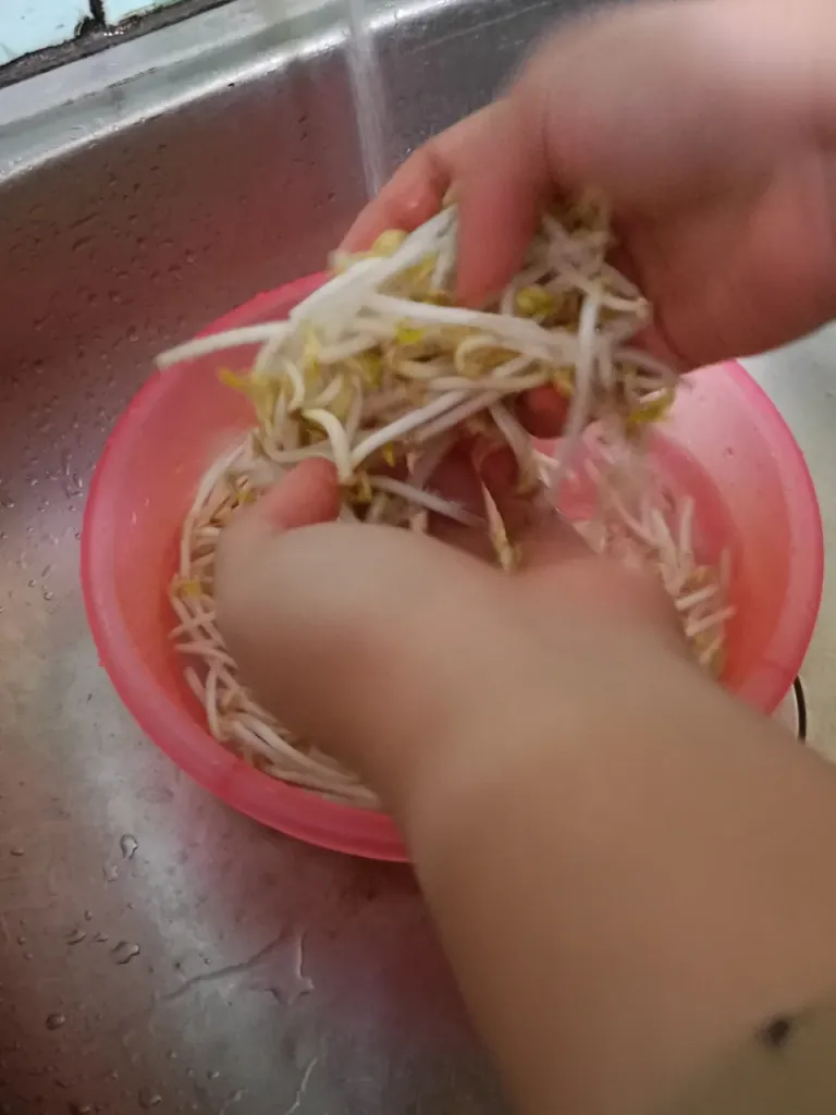 Wash the bean sprouts well