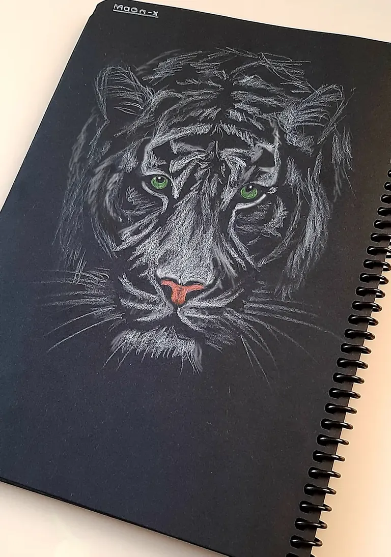 Drawing on Black Paper - [372] / White Tiger