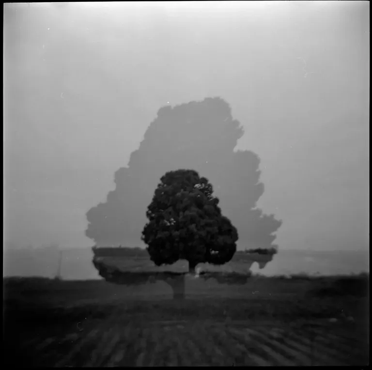 Berrger_Pancro_400_Holga_Rodinal_2022_by_Victor_Bezrukov-3.jpg