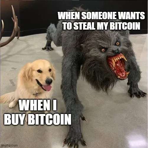 Funny meme from @chaosmagic23, i prefer buying btc than getting them stolen indeed