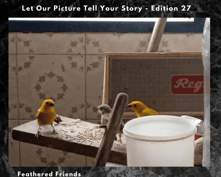 Let Our Picture Tell Your Story - Edition 27