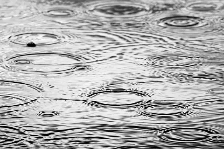 Rain_Ripples_001_crop_BW_s.jpg