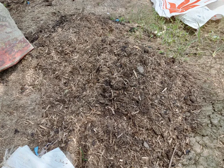 photo of organic fertilizer after composting.