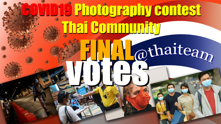 COVID19%20Photography%20fianal%20votes.png