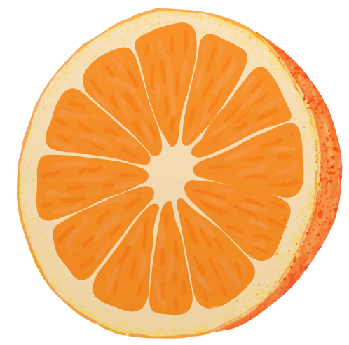 orange%20tranche%20vive%20redim.png