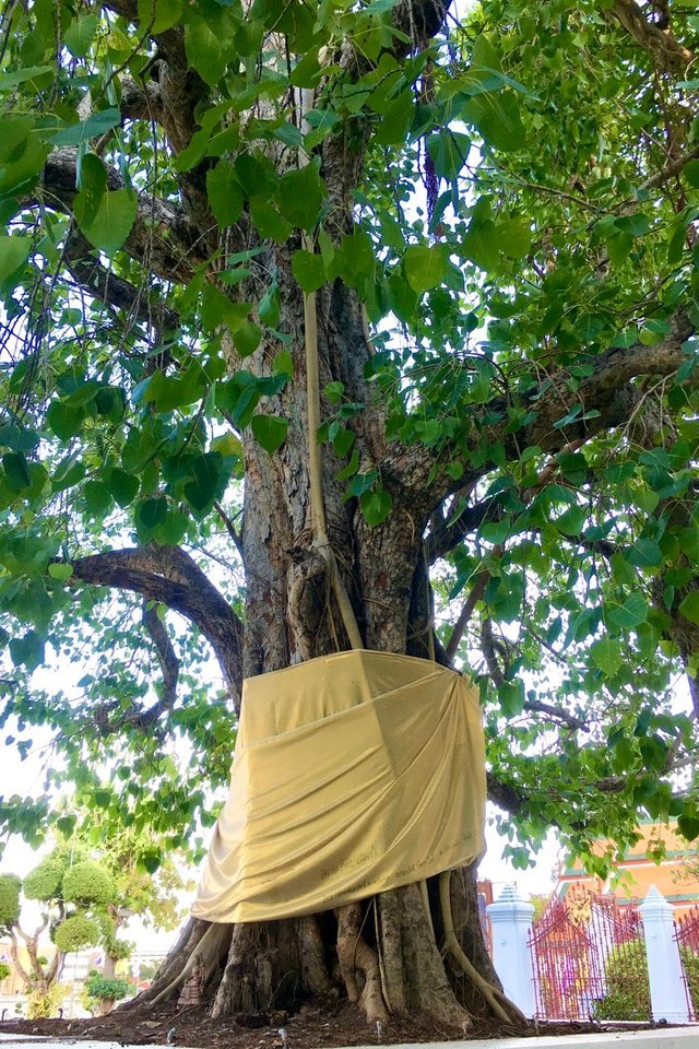 p6.jpg