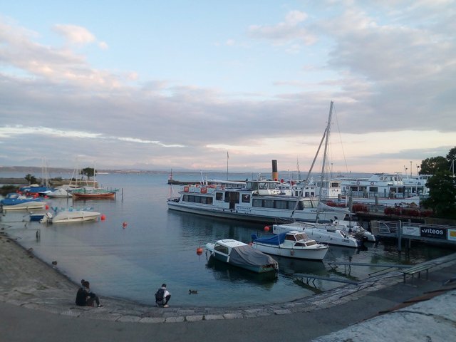p6.jpg