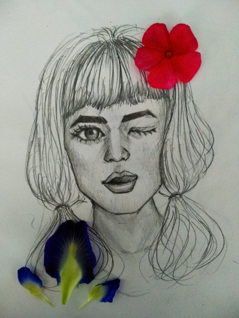 p12.jpg