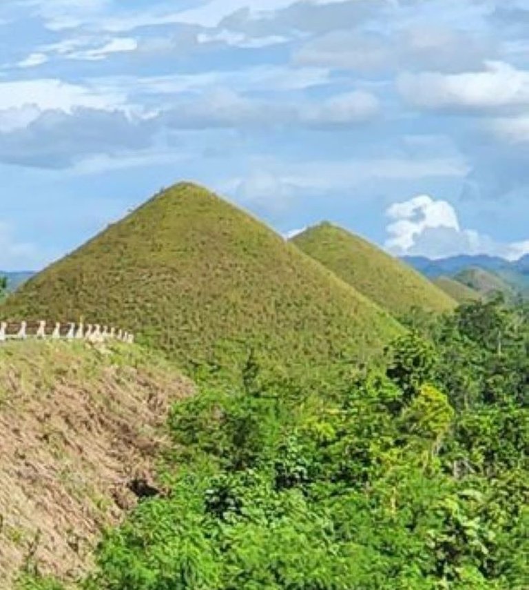  "bohol1.jpg"