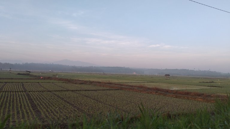 20240313_070052.jpg