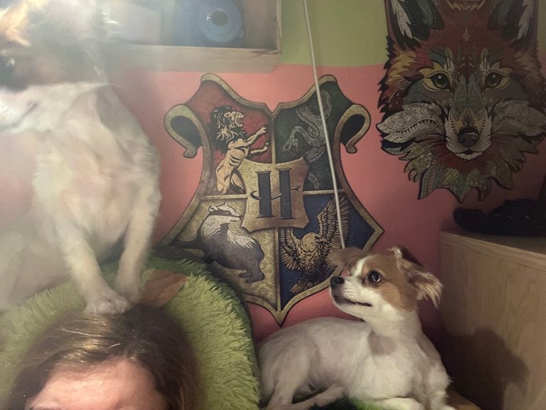 IMG_5167.jpeg