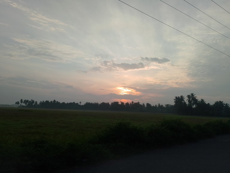 IMG_20250626_064209.jpg