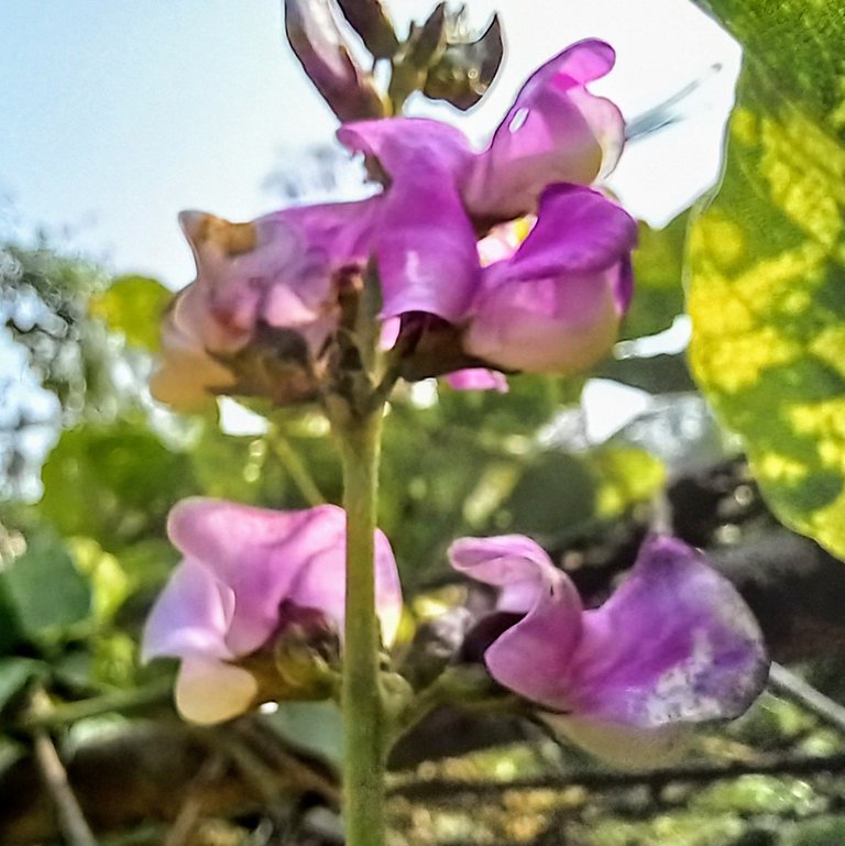 20250120_134041~2.jpg