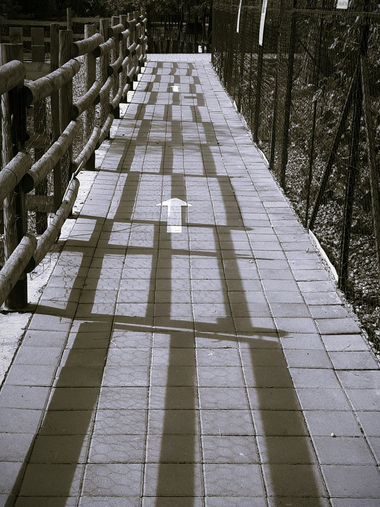 20250716_115517.jpg