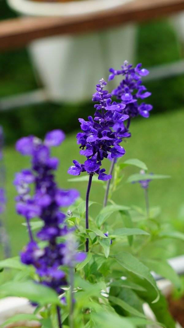 DSC03157b.jpg