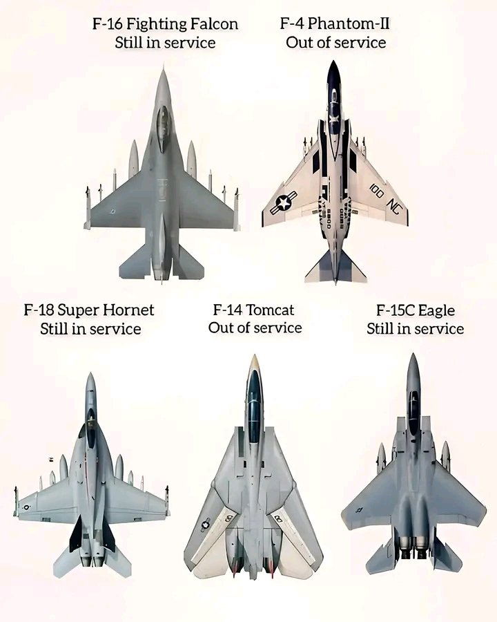 1713903691654.jpg
