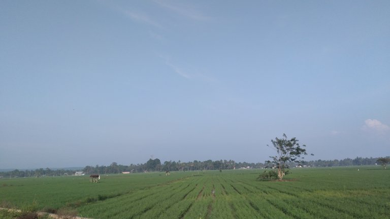 20240309_075731.jpg