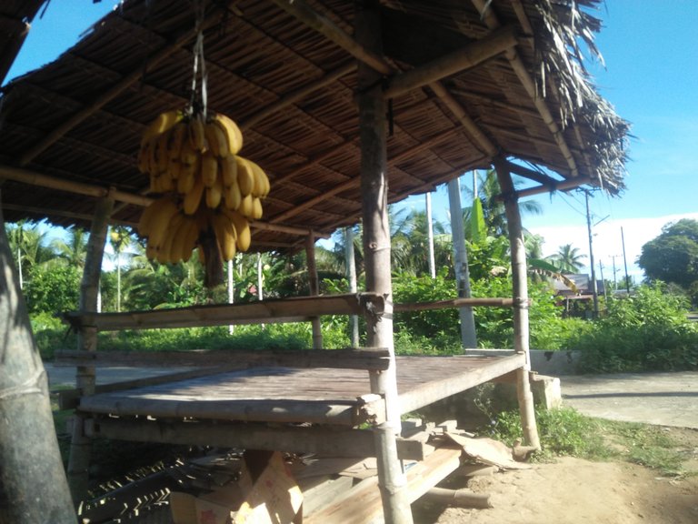 IMG20250423084252.jpg