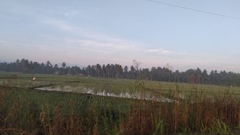 20240313_065956.jpg