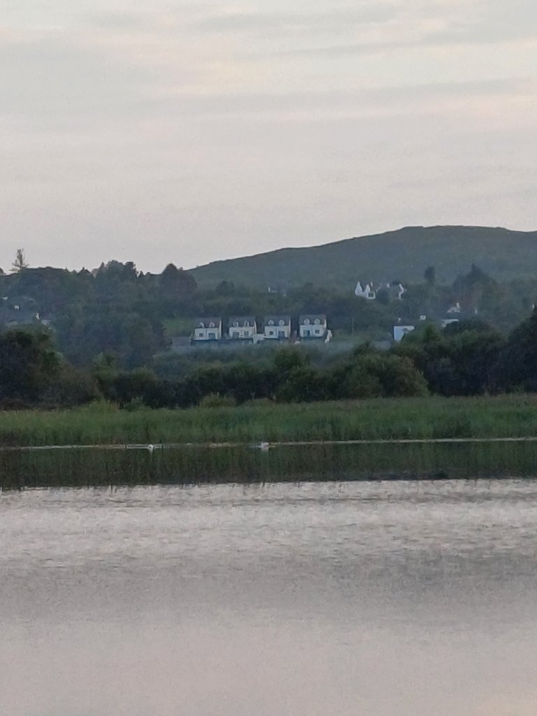 20250722_205751.jpg