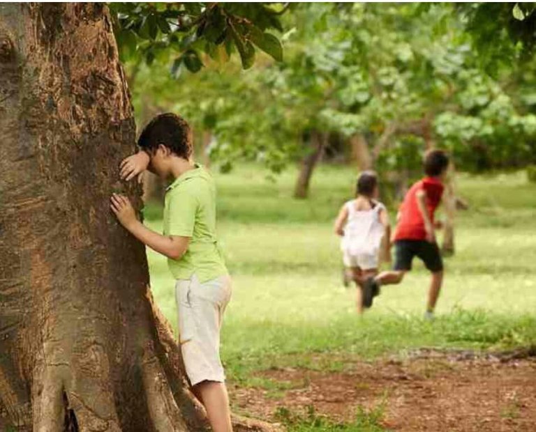 taguan.jpg