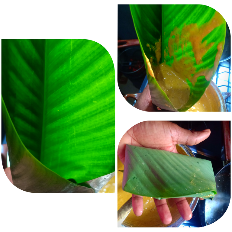 Collage 2025-07-12 11-14-49.png