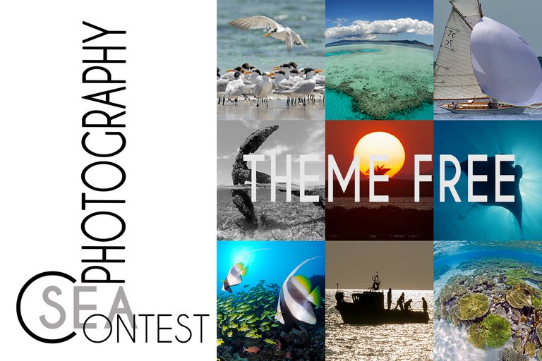Theme announcement trame free.jpg