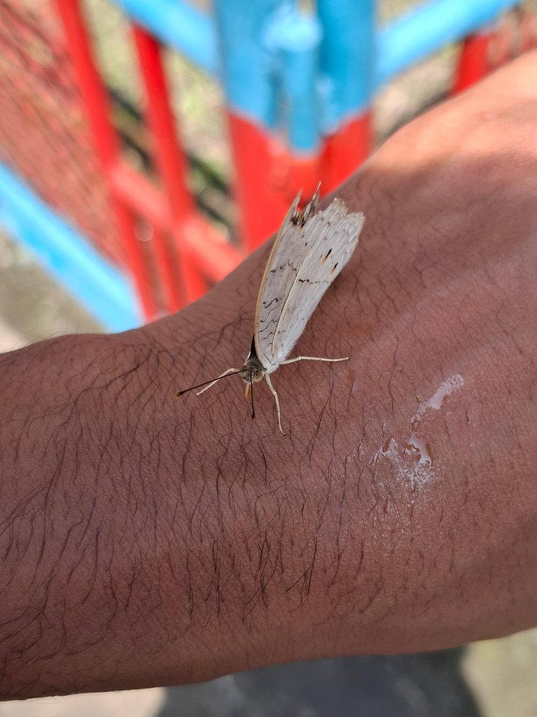 20250825_102025.jpg