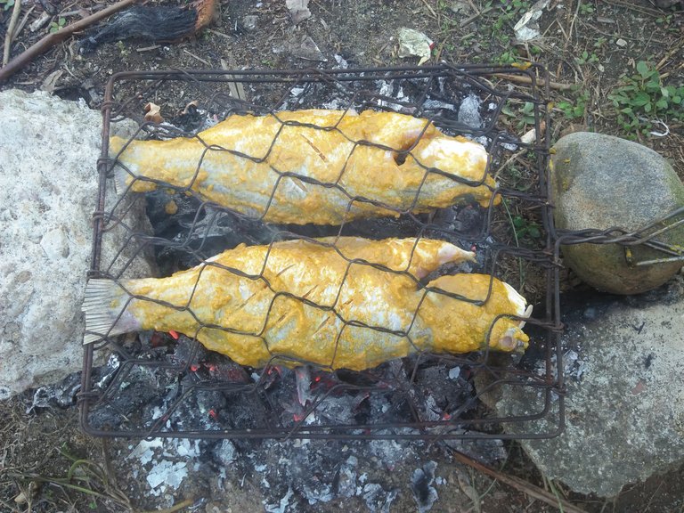 IMG20250423084911.jpg