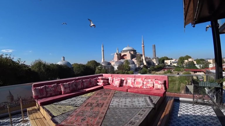 498.jpg